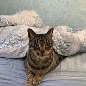 Meet your Posher, Jayne